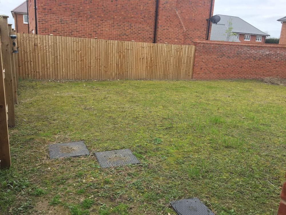 Original lawn before its wildlife-friendly garden concept